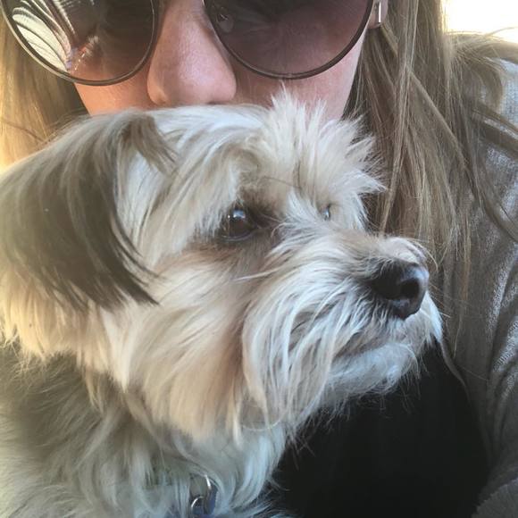 Meet your Posher, Bree - Picture 1 of 1